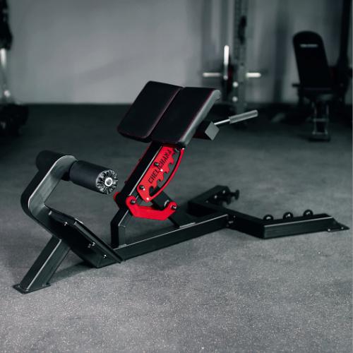 Leđna hiperekstenzija 2.5