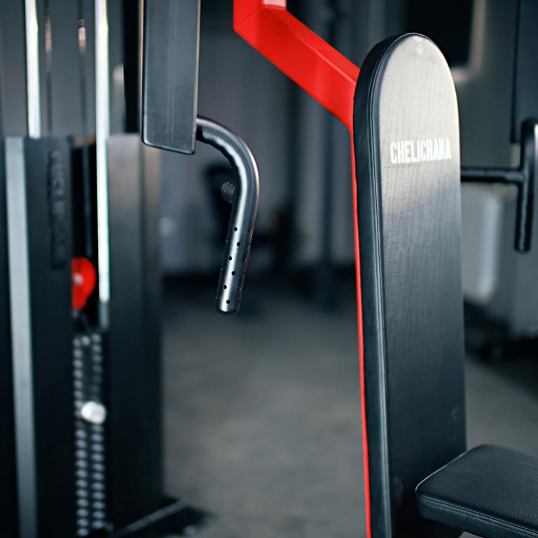 Reverse Fly - Pec Dec